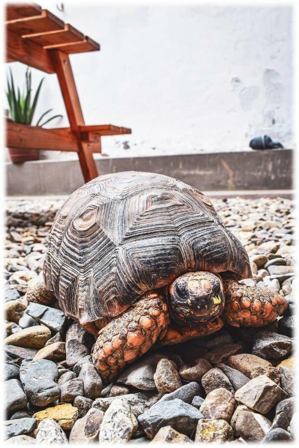 Atma Hostel & Yoga Huanchaco Zewnętrze zdjęcie